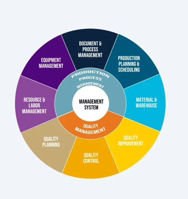 MANAGEMENT SYSTEM